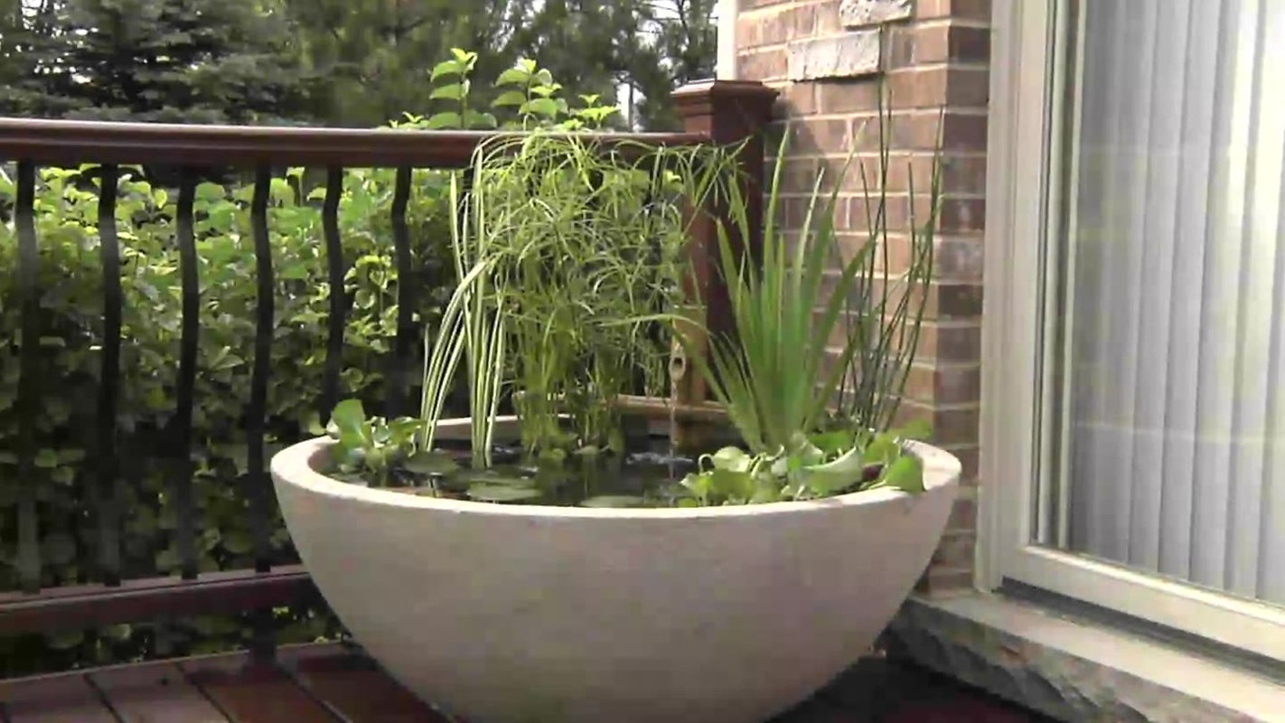 Aquascape Aquatic Patio Pond Pot Planter & Reviews Wayfair